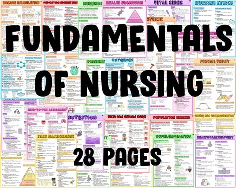 Read Free Nursing Fundamentals Study Guide 