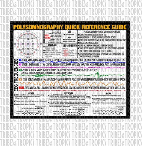 Download Free Polysomnography Scoring Guide 