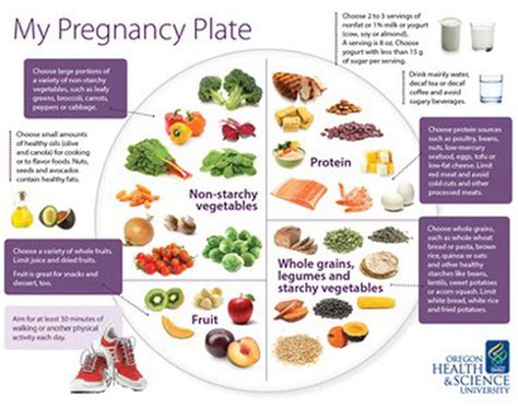 Read Free Prenatal Food Guide 