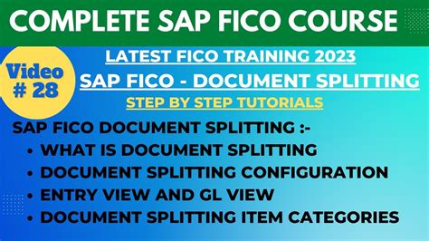Full Download Free Sap Fico Document Splitting Configuration 