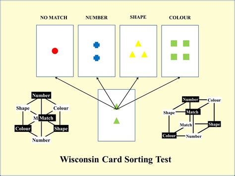 Full Download Free Wisconsin Card Sorting Test Manual File Type Pdf 