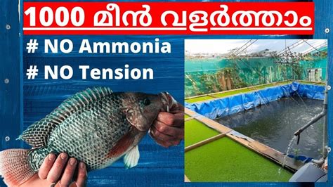 Full Download Frees Fish Farming In Malayalam 
