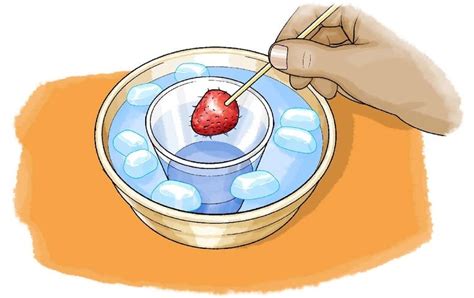 Freeze Your Fruit With Science Stem Activity Frozen Science - Frozen Science