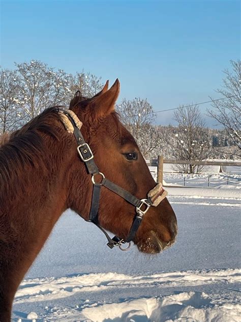 freizeitpartner in bayern