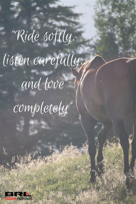 French Horse Quotes