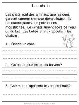 Download French Comprehension Passages With Questions And Answers 