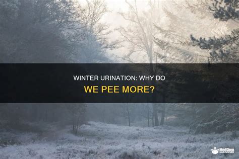 frequent urination in winter