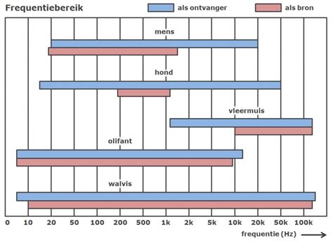 frequentiebereik