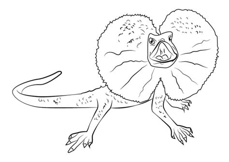 Frilled Lizard Coloring Page   24 Lizard Coloring Pages Free Pdf Printables - Frilled Lizard Coloring Page
