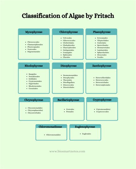 Fritsch Classification Of Algae
