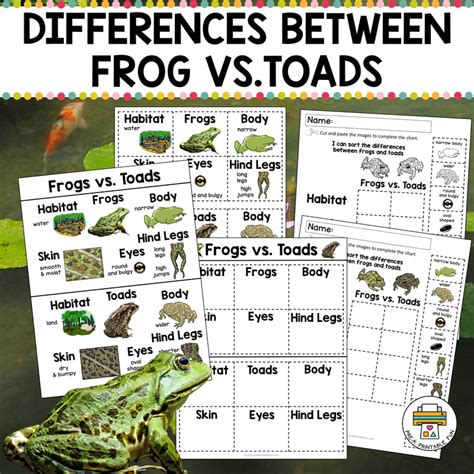 Frog And Toad Science Activities For Kids Frog Science Activities - Frog Science Activities