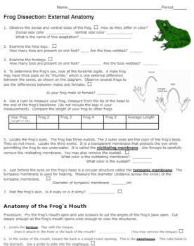 frog dissection answer key biology junction