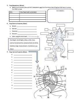 Frog Dissection Pre Lab Answer Key