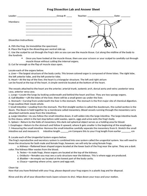Frog Lab Answer Sheet