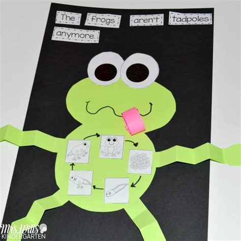 Frog Lesson Plans For Kindergarten And First Grade Frogs Kindergarten - Frogs Kindergarten