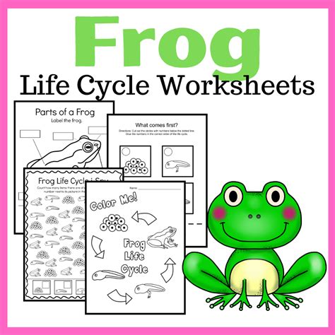 Frog Life Cycle Activities Living Life And Learning Frog Science Activities - Frog Science Activities
