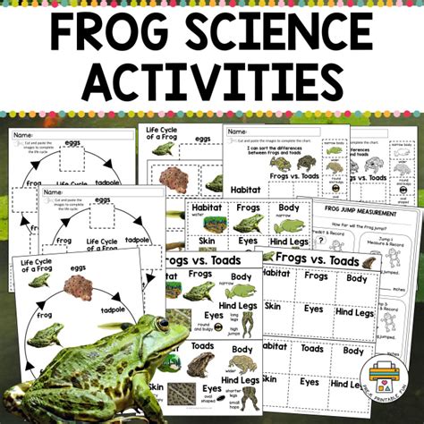 Frog Science Activities   17 Fun Frog Activities For Preschool Kidadl - Frog Science Activities