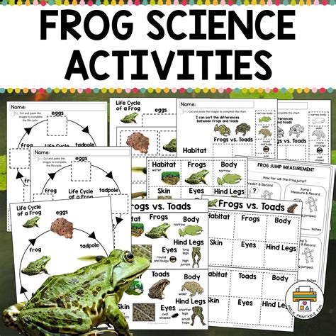 Frog Science Activities Pre K Printable Fun Frog Science Activities - Frog Science Activities