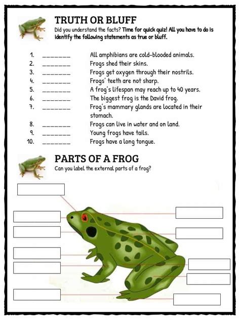 Frog Worksheets For Preschoolers Free Printables Frogs Kindergarten - Frogs Kindergarten