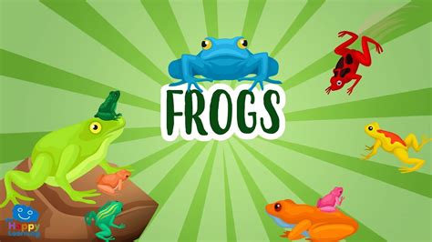 Frogs Educational Videos For Kids Youtube Frogs Kindergarten - Frogs Kindergarten