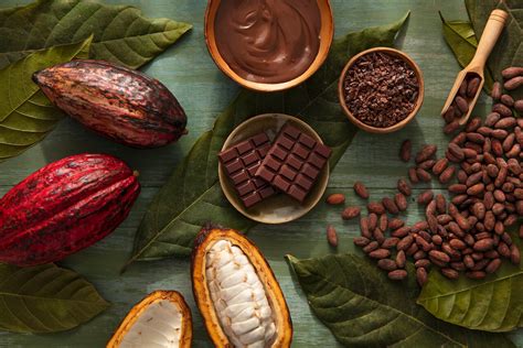 From Bean To Bar
