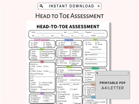 From Head To Toe Board Book