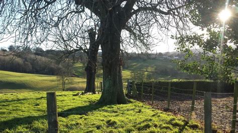 from highfold farm towards painswick. 2014 Country roads, …