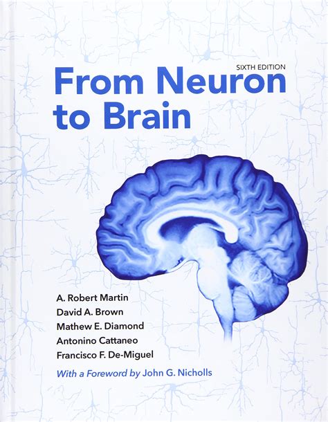 From Neuron To Brain 6th Edition