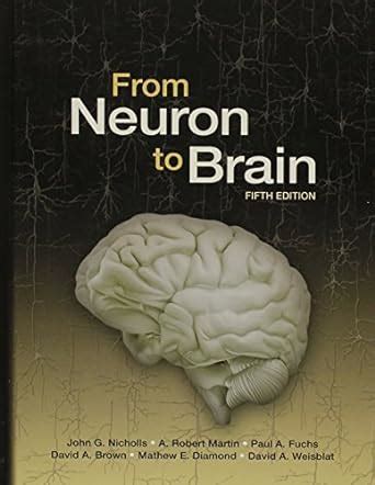 From Neuron To Brain Fifth Edition