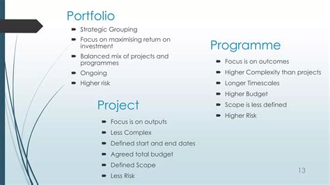 From Projects To Programs A Project Managers Journey Best Practices And Advances In Program Management Series
