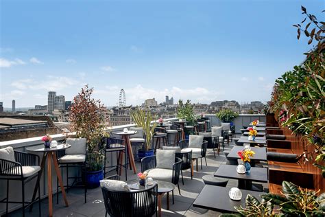 From The Rooftop