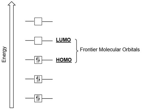 Frontier Molecular Orbital