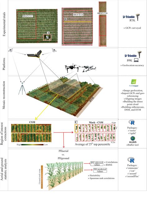 Frontiers High Throughput Uav Based Rice Panicle Detection Science Trait - Science Trait