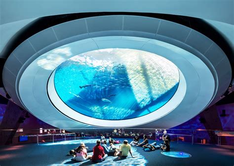 Frost Science Museum Aquarium Amp Planetarium Top Fun Science Things To Do - Science Things To Do