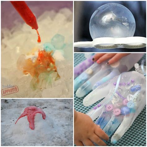 Frozen Science Shells And Pebbles Frozen Science - Frozen Science