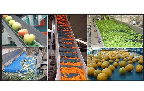 Fruit And Vegetable Processing Improving Quality Woodhead Publishing Series In Food Science Technology And Nutrition
