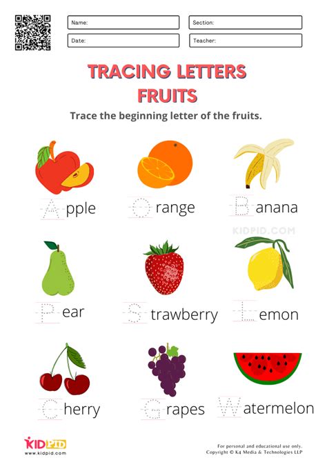 Fruit And Vegetable Worksheets For Kindergarten And First Kindergarten Fruits Worksheet - Kindergarten Fruits Worksheet