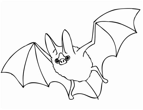 Fruit Bat Coloring Page   Bat Coloring Pages Surfnetkids - Fruit Bat Coloring Page