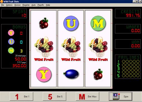 fruit bonus 96 slot machine cheats gevq switzerland