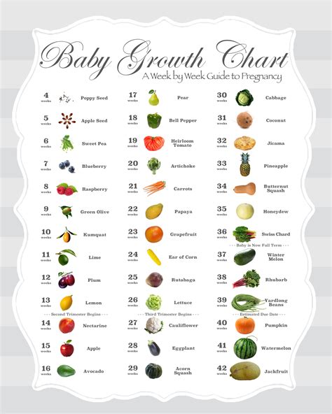 Fruit Pregnancy Chart