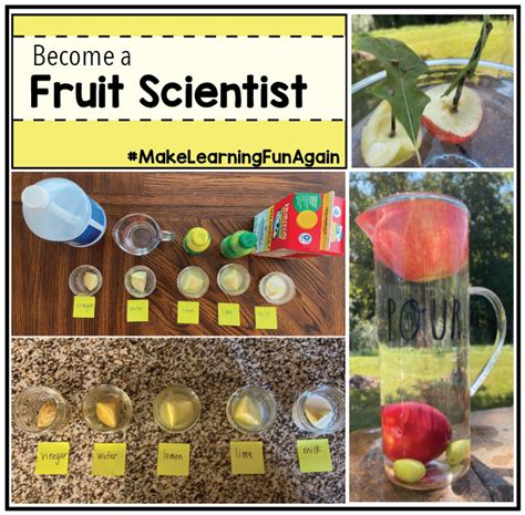 Fruit Science Experiments Learning Withoutdoors Fruit Science Experiments - Fruit Science Experiments