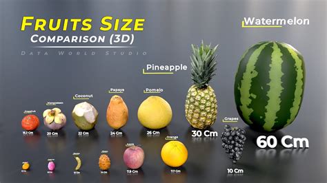 Fruit Size Comparison Chart