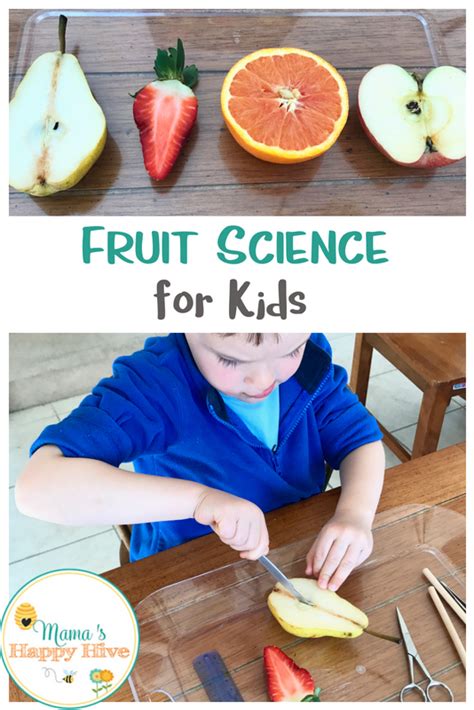 Fruit Themed Science Activities Sciencing Fruit Science Experiments - Fruit Science Experiments