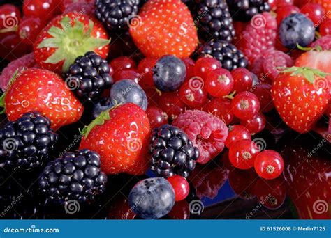 Frutta E Bacche