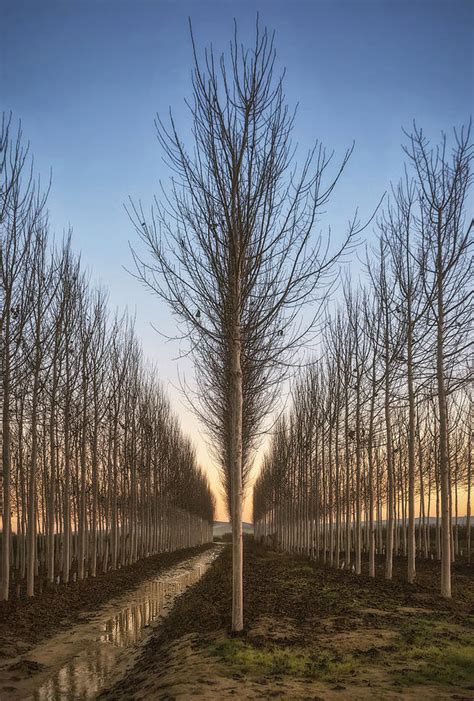 nature photo by Rudy Wehner