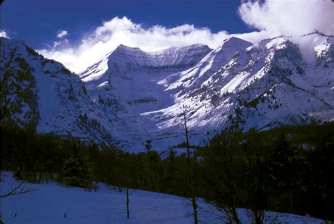 nature photo by Lilyan Aufderhar