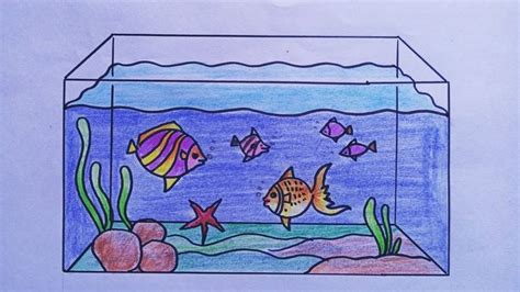 Fun Archives Crazybananas Aquarium Drawing For Preschool - Aquarium Drawing For Preschool
