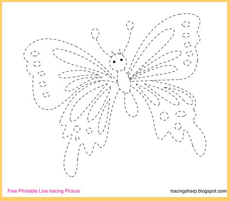Fun Butterfly Tracing Lines Worksheets For Preschoolers Insects Worksheets For Preschool - Insects Worksheets For Preschool