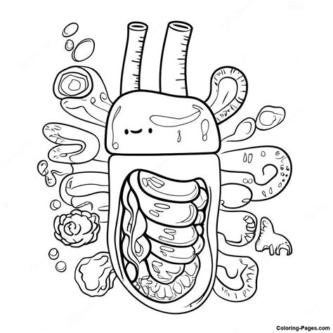 Fun Digestive System Coloring Pages For Kids