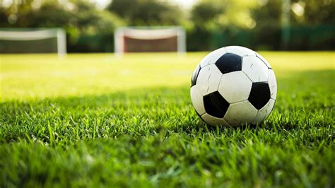 Fun Facts About Soccer